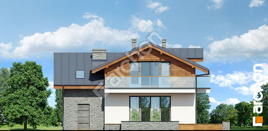 Дворовий фасад Будинок в буддлеях вер.3