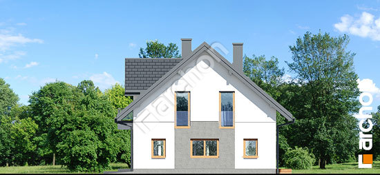 Боковой фасад Дом в изопируме 10