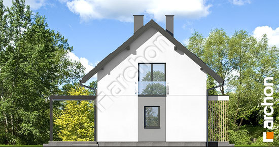 Боковой фасад Дом в мануке