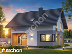 Проєкт будинку ARCHON+ Будинок в мануці 