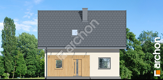 Передній фасад Будинок в хлорофітумі 20 (Е) ВДЕ