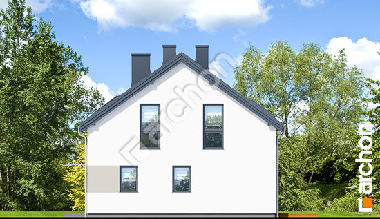 Бочний фасад Будинок в аркадіях (Р2)