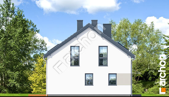 Бочний фасад Будинок в аркадіях (Р2)