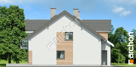 Боковой фасад Дом под агавами 3 (Р2) вер.2