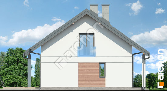 Боковой фасад Дом миниатюрка (НТ)