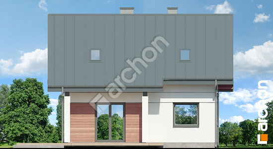 Дворовой фасад Дом миниатюрка (НТ)