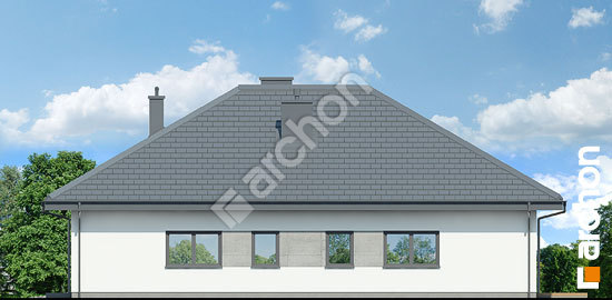 Бочний фасад Будинок в хакетіях