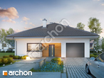 Проєкт будинку ARCHON+ Будинок в хакетіях 