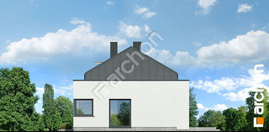 Бочний фасад Будинок в плюмеріях 5