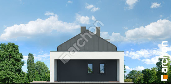 Боковой фасад Дом в плюмериях 5