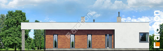 Передний фасад Дом в плюмериях (E) вер.2