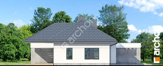 Боковой фасад Дом в навлоциях 3 (Г2)