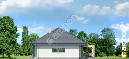 Боковой фасад Дом в медовой траве (Г)