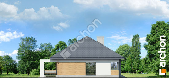 Боковой фасад Дом в медовой траве (Г)