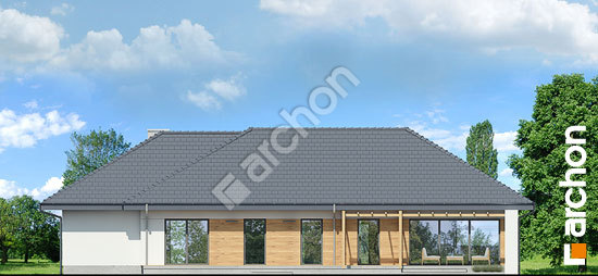 Дворовой фасад Дом в медовой траве (Г)