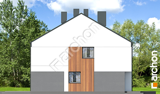 Боковой фасад Дом в нарциссах 6 (Р2)