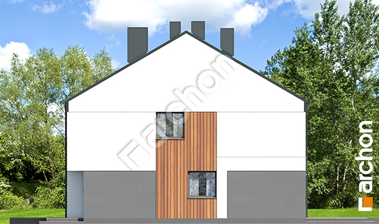 Боковой фасад Дом в нарциссах 6 (Р2)