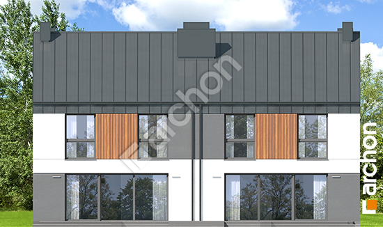 Дворовой фасад Дом в нарциссах 6 (Р2)