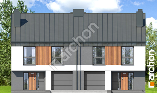 Передний фасад Дом в нарциссах 6 (Р2)