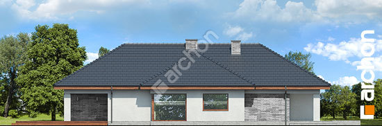 Боковой фасад Дом в андромедах (Г2П)