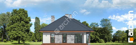 Дворовий фасад Будинок в андромедах (Г2П)