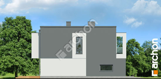 Боковой фасад Дом в клематисах 34