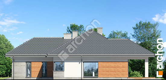 Бочний фасад Будинок в жонкілях (Г2)