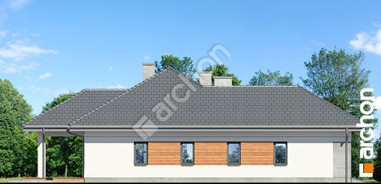 Боковой фасад Дом в жонкилях (Г2)