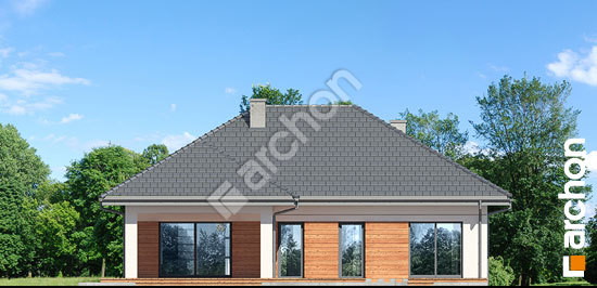 Дворовий фасад Будинок в жонкілях (Г2)