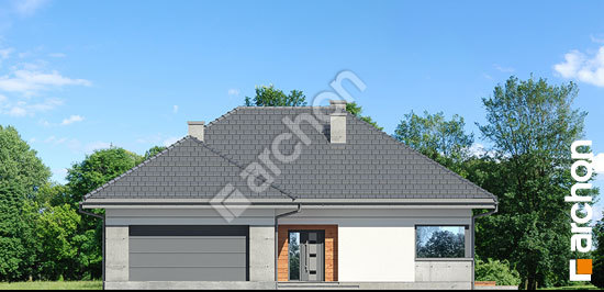 Передний фасад Дом в жонкилях (Г2)