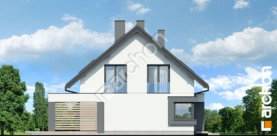 Боковой фасад Дом под клеродендрумом