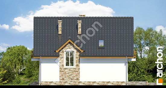 Дворовой фасад Дом в мандарынках вер. 2