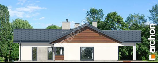 Боковой фасад Дом в жонкилях 2 (Г2)