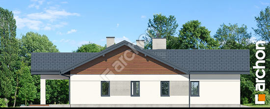 Боковой фасад Дом в жонкилях 2 (Г2)