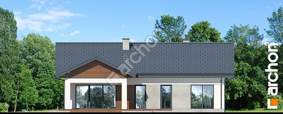 Дворовий фасад Будинок в жонкілях 2 (Г2)