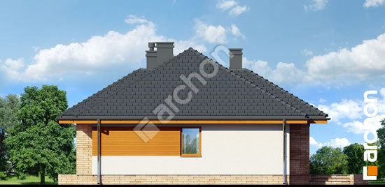 Боковой фасад Дом в акебиях (В)