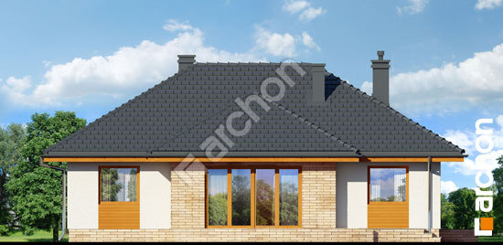 Дворовой фасад Дом в акебиях (В)