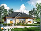 Проект будинку ARCHON+ Будинок в акебіях (В) 