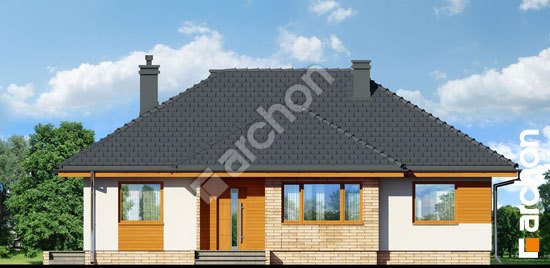 Передній фасад Будинок в акебіях (В)