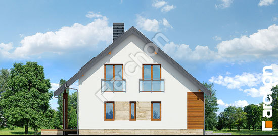 Боковой фасад Дом в айдаредах 3 (П)