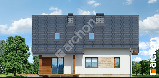 Дворовой фасад Дом в айдаредах 3 (П)