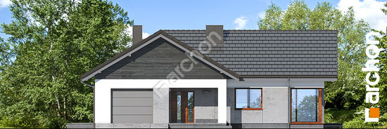 Передній фасад Будинок у відличках