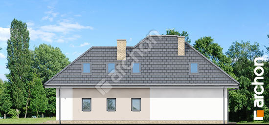 Бочний фасад Будинок в гемантусі