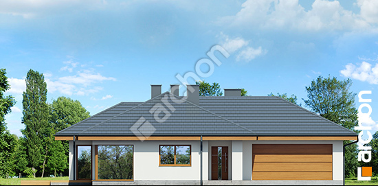 Передний фасад Дом в амаранте 3 вер.2