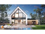 Проект дома ARCHON+ Дом в папаверах 3 (Г2Е) 