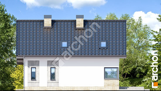 Дворовий фасад Будинок в журавках 3 (П)