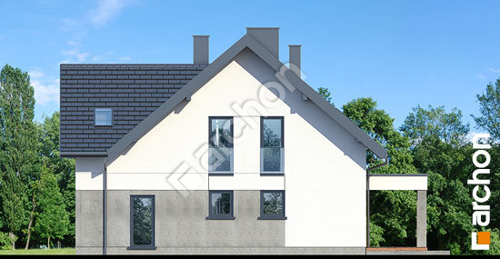 Бочний фасад Будинок в нефрісах 2 (Г2)