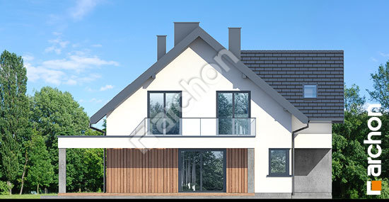 Бочний фасад Будинок в нефрісах 2 (Г2)