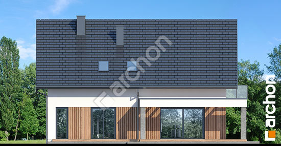 Дворовий фасад Будинок в нефрісах 2 (Г2)