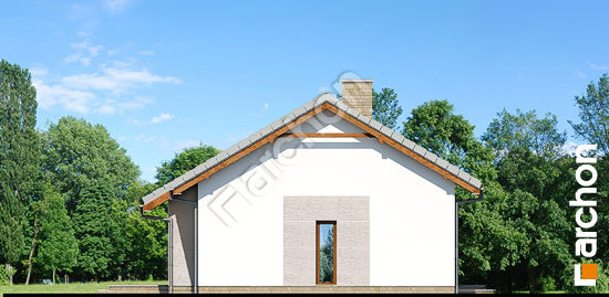 Боковой фасад Дом в овсянницах